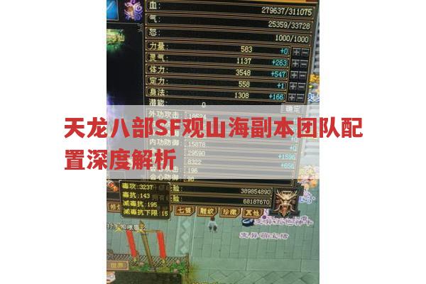 天龙八部SF观山海副本团队配置深度解析