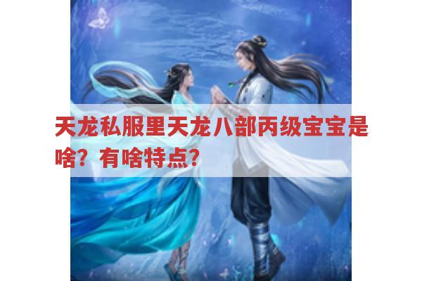 天龙私服里天龙八部丙级宝宝是怎样的？有何价值？