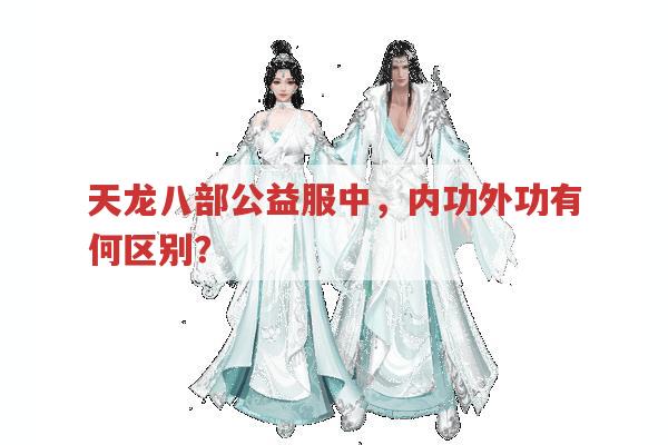 天龙八部公益服中，内功外功有何区别？