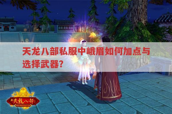 天龙八部私服中峨眉如何加点与选择武器？