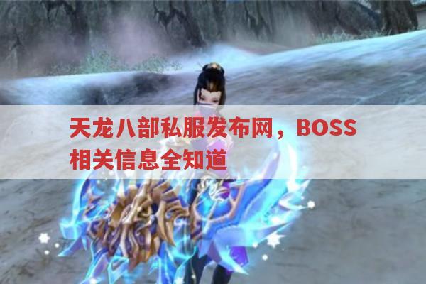 天龙八部私服发布网，BOSS相关信息全知道