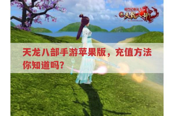 天龙八部手游苹果版，充值方法你知道吗？